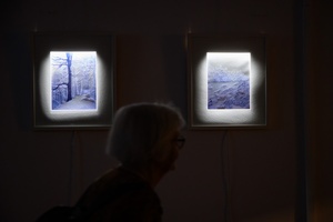 Wystawa: Tańcząc ze światłem - Publiczność wernisażu oglądająca fotografie.