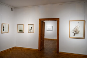 Wystawy: "Początki" oraz "Smak wiśni" - Fotografie autorstwa Tomasza Wysockiego prezentowane na wystawie.