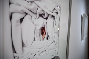 Wystawy: "Początki" oraz "Smak wiśni" - Fotografie autorstwa Tomasza Wysockiego prezentowane na wystawie.