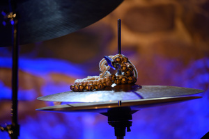 Koncert: Michał Barański "Masovian Mantra"