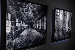 Wystawa: Zamyślniki i inne znaki przestankowe - Fotografie autorska Marka Kucharczyka z cyklu "Wieloświaty".