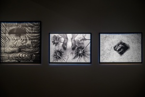 Wystawa: Zamyślniki i inne znaki przestankowe - Fotografie autorska Marka Kucharczyka z cyklu "Wieloświaty".