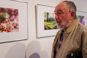 Wernisaże dzień po dniu: Gosia Sikora / Marek Tumiłowicz - Publiczność oglądająca wystawę.