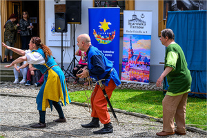 VI Dzień Hetmański - Piknik historyczny