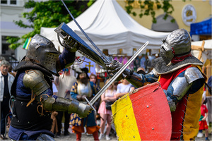 VI Dzień Hetmański - Piknik historyczny