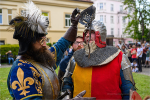 VI Dzień Hetmański - Piknik historyczny