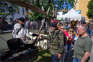 VI Dzień Hetmański - Piknik historyczny