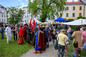 VI Dzień Hetmański - Piknik historyczny
