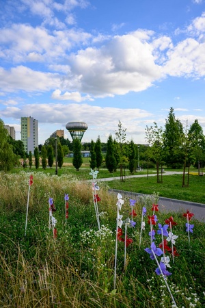 Owacje w Dom.Ku! - Tereny zielone wokół DKW w tle wieża ciśnień zwana "Banią"