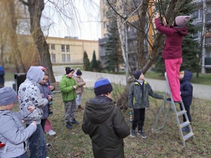 Kreatywne warsztaty - Zwierzyniec - Uczestnicy podczas wieszania karmników dla ptaków