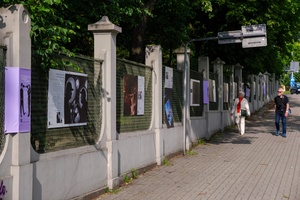 39. TNF: Dzień 8 (6.06.2025) - Plenerowa wystawa fotografii w ramach 39. TNF "Piotr Jaxa. Cinematographers" na ogrodzeniu Parku Strzeleckiego