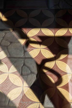 Spójrz pod nogi - opowieści z poziomu tarnowskich posadzek - Posadzka