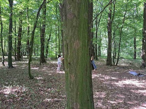 Spacer przyrodniczy z kąpielą leśną - Uczestnicy podczas spaceru