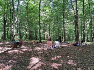 Spacer przyrodniczy z kąpielą leśną - Uczestnicy podczas spaceru