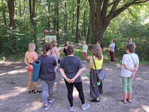 Spacer przyrodniczy z kąpielą leśną - Uczestnicy podczas spaceru