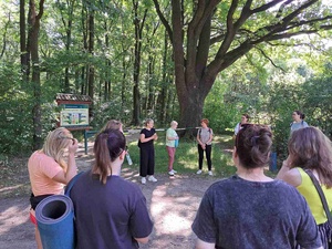 Spacer przyrodniczy z kąpielą leśną - Uczestnicy podczas spaceru