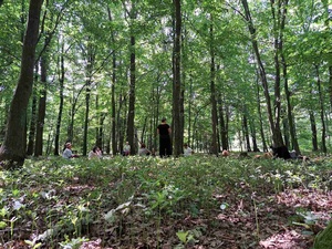 Spacer przyrodniczy z kąpielą leśną - Uczestnicy podczas spaceru