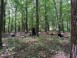 Spacer przyrodniczy z kąpielą leśną - Uczestnicy podczas spaceru