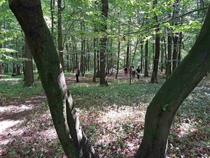 Spacer przyrodniczy z kąpielą leśną - Uczestnicy podczas spaceru