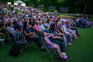 XX Był Sobie Blues: Natalia Sikora śpiewa Janis Joplin - Licznie zgromadzona publiczność w Amfiteatrze zasłuchana w piosenkach Janis Joplin w interpretacji Natalii Sikory i jej zespołu