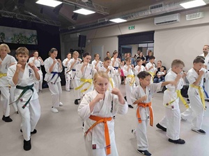 Piknik 13. Dzielnicy! - Pokaz karate w wykonaniu TKS Karate Tarnów