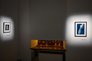 Wystawa: Transmutacja