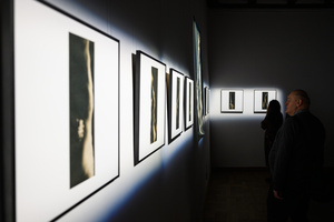 Wystawa: Transmutacja