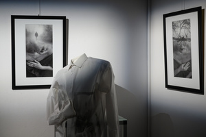 Wystawa: Transmutacja