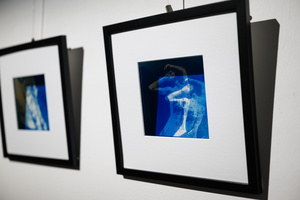 Wystawa: Transmutacja