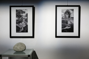 Wystawa: Transmutacja