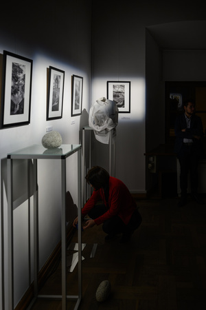 Wystawa: Transmutacja