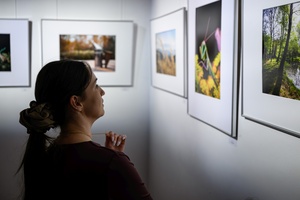 Wystawa: w cyklu Wernisaże Dzień po Dniu - Publiczność oglądająca wystawę.