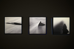 Wystawa: Rozważania nad istotą czasu - Fotografie na wystawie.