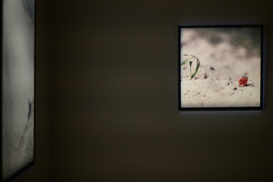 Wystawa: Rozważania nad istotą czasu - Fotografie na wystawie.