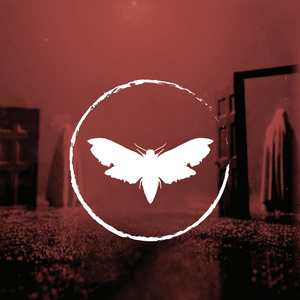 Plakat: Koncert: Mercurius