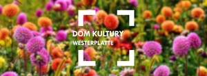 Plakat: Listopad w Domu Kultury Westerplatte