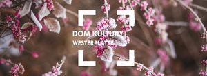 Plakat: Styczeń w Domu Kultury Westerplatte