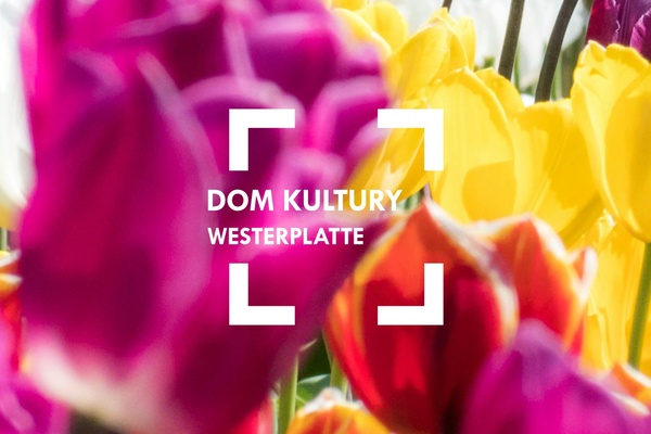 Marzec w D.K. Westerplatte