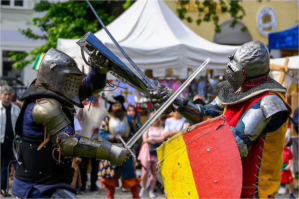 VI Dzień Hetmański - Piknik historyczny