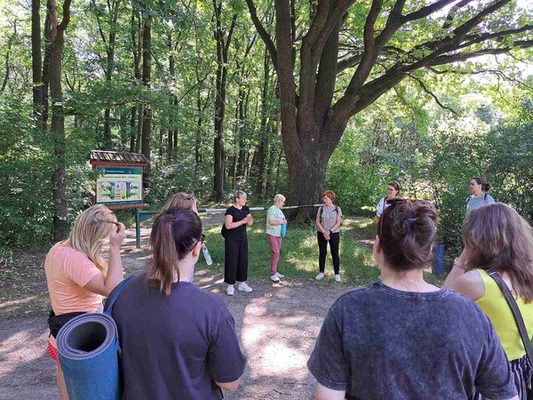 DKW: Spacer przyrodniczy z kąpielą leśną