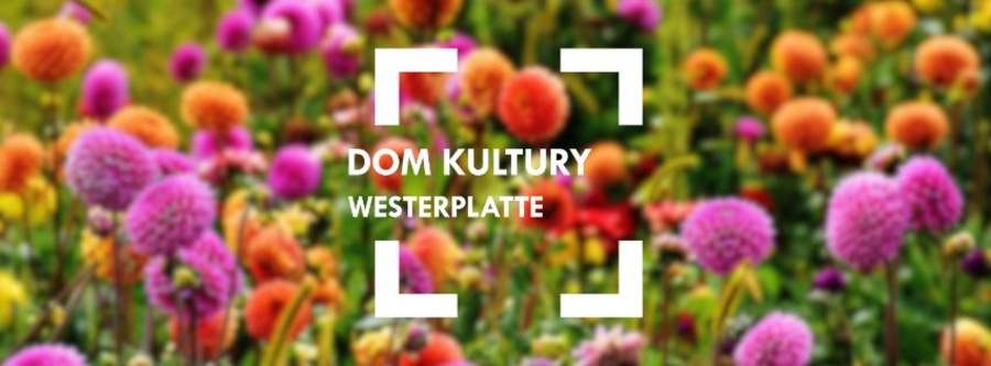 Listopad w Domu Kultury Westerplatte